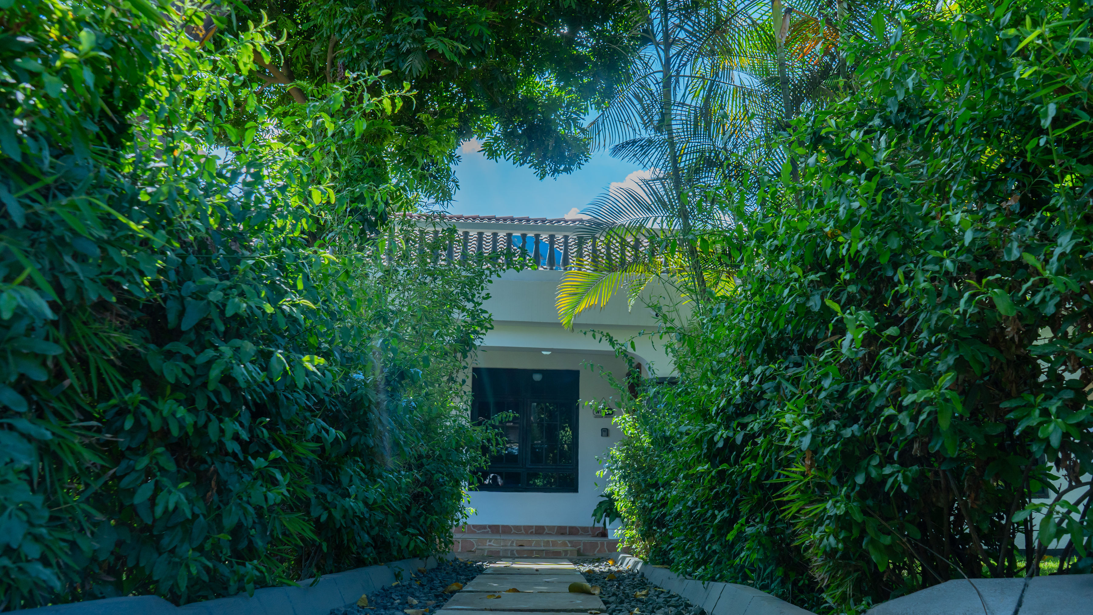 Garden photo