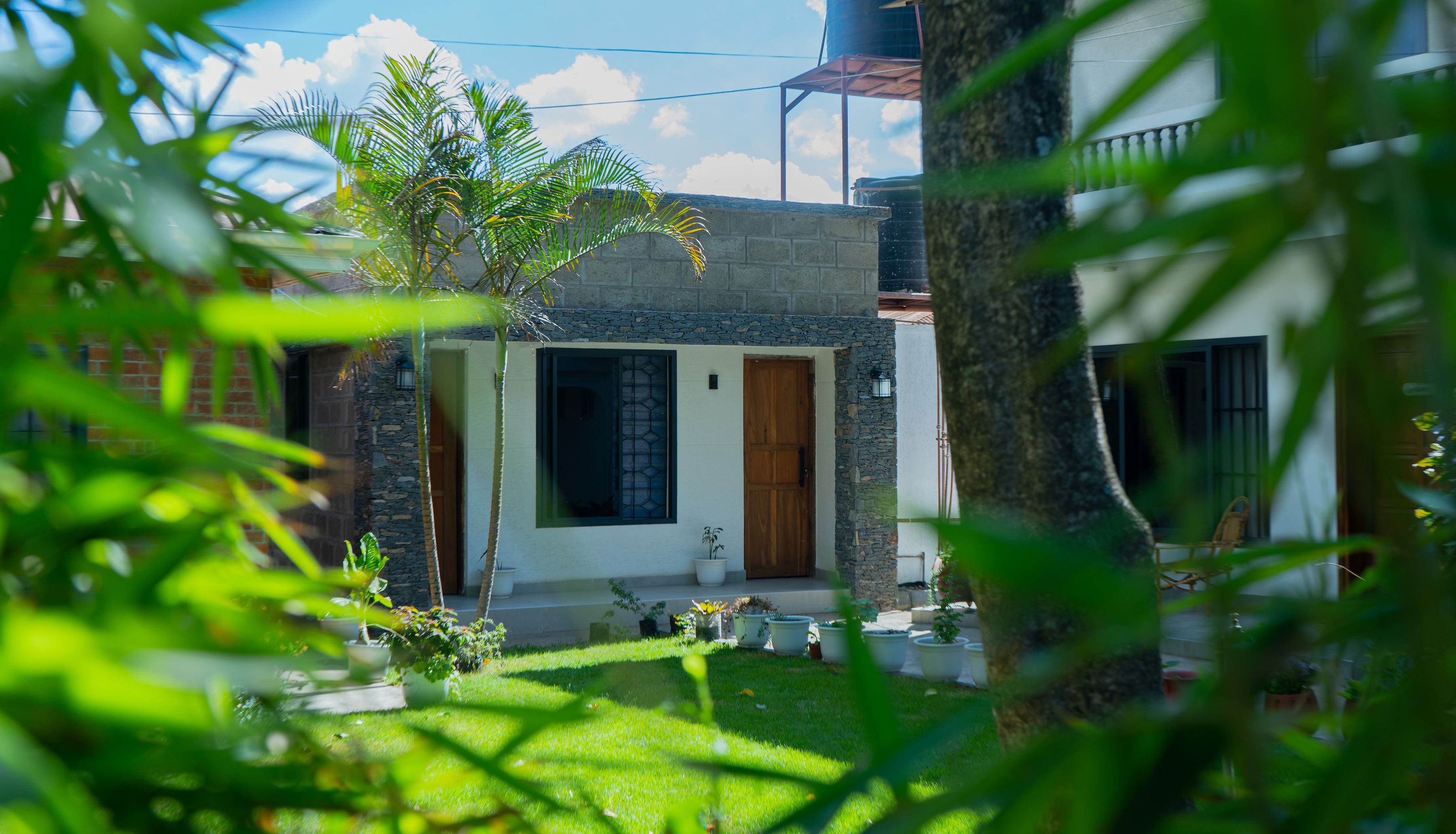 Garden photo