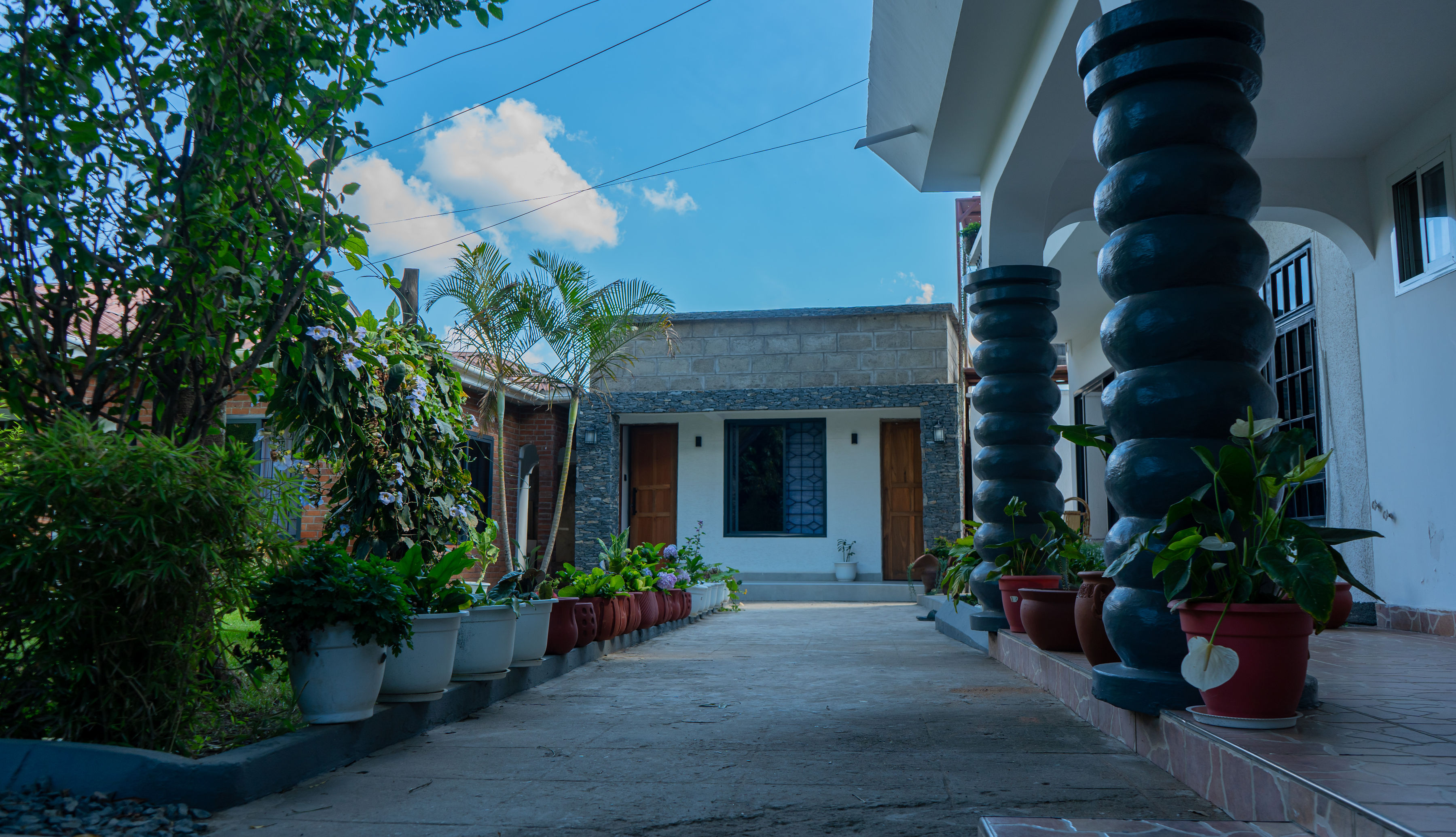 Garden photo