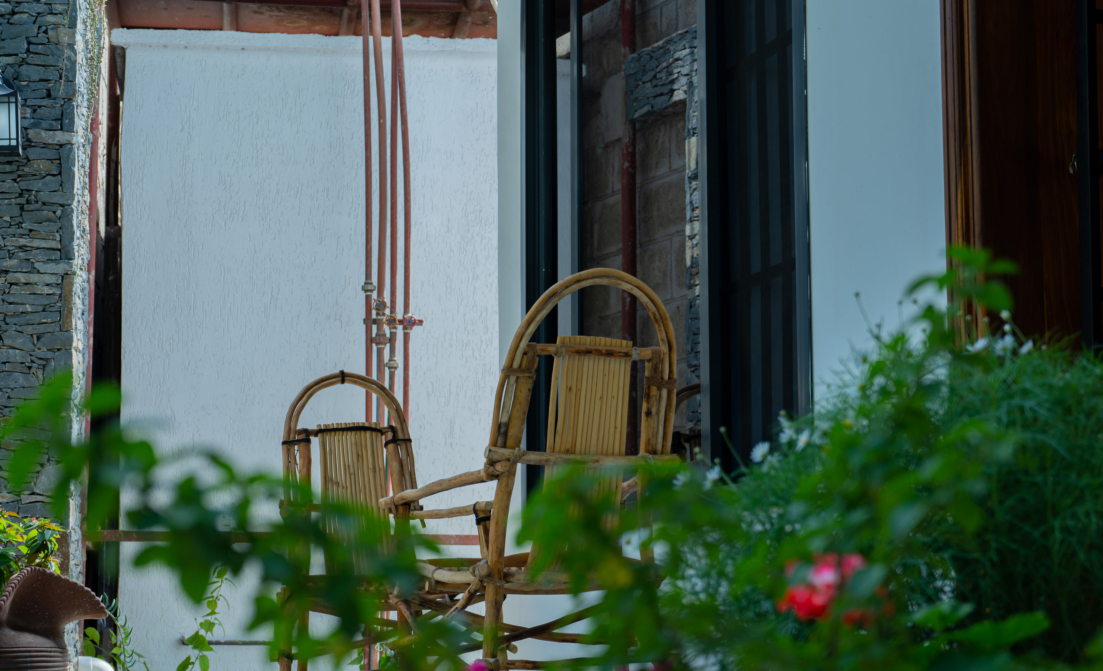 Garden photo