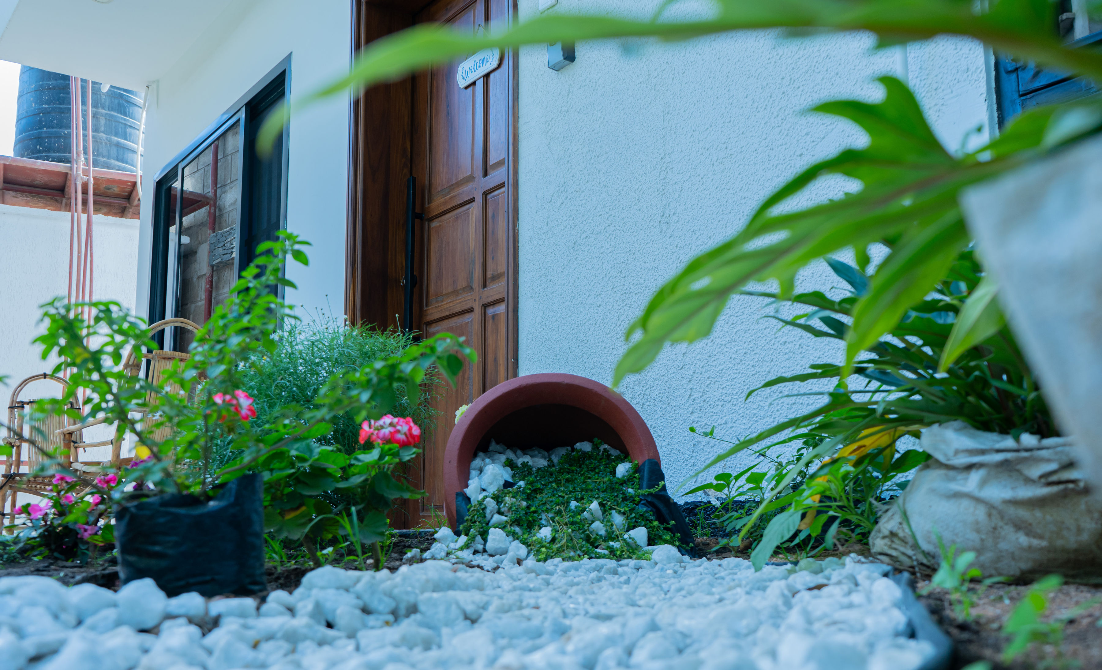 Garden photo